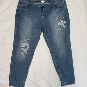 Lane Bryant Jeans Size 28 - Lightly Used